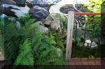 reefcottage_garden3.jpg (147967 Byte)